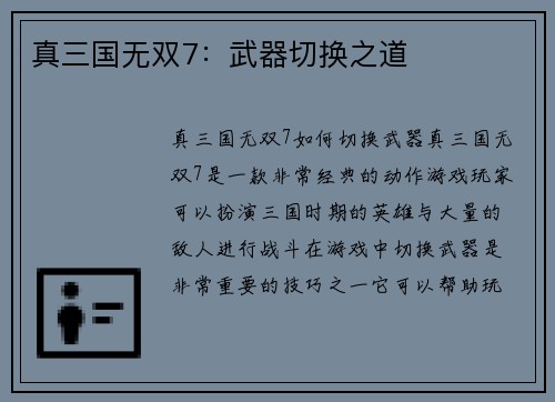 真三国无双7：武器切换之道